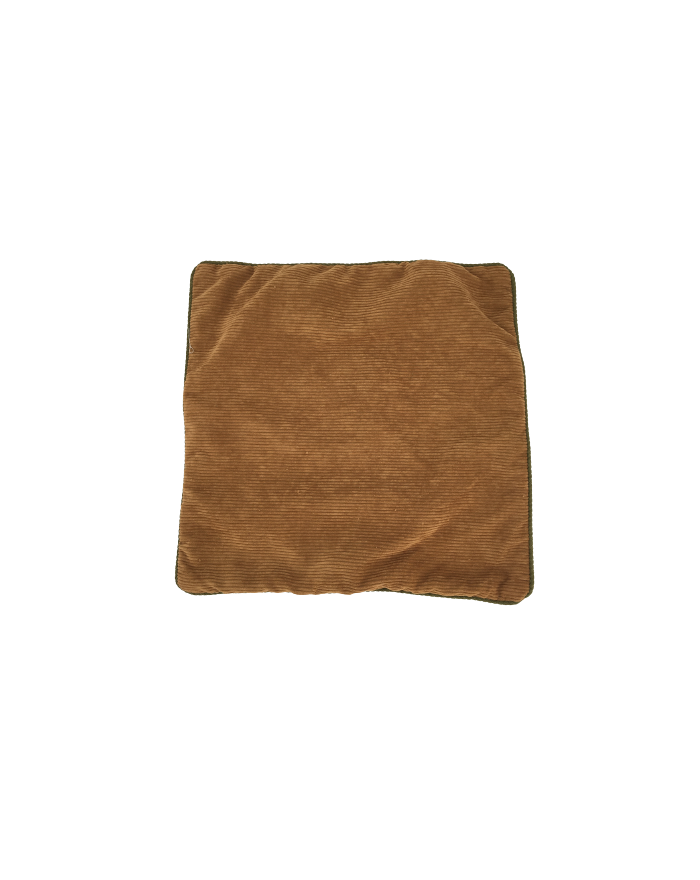 LOT DE 2 HOUSSES DE COUSSIN VELOURS COTELE CARA PP CONTRASTANT 40X40