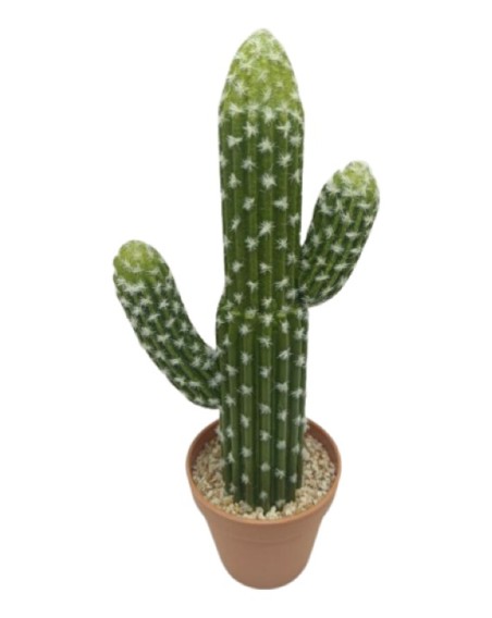 CACTUS POLASKIA 41CM