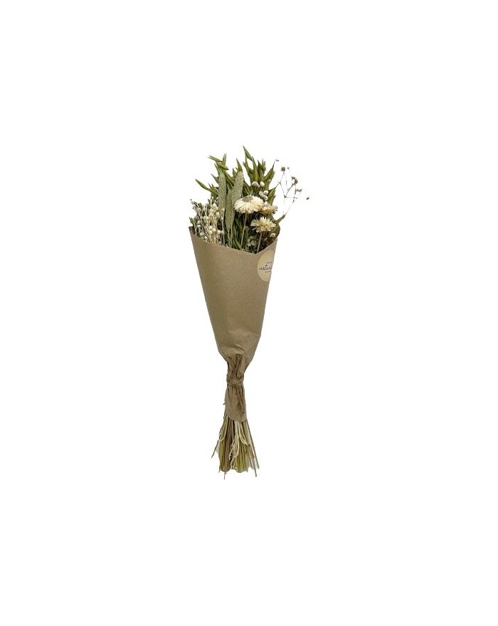 BOUQUET FLEURS SECHEES H55CM SNOW