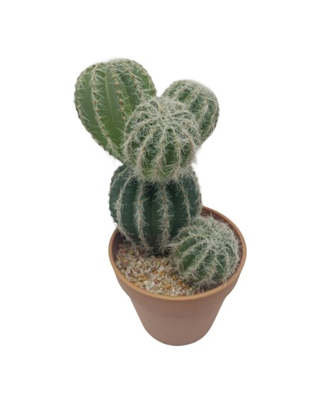 CACTUS BOULES 26CM