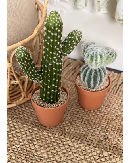 CACTUS BOULES 26CM