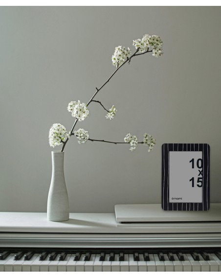 CADRE PHOTO 10X15 RAYE N&B