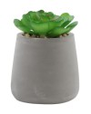 PLANTE ARTIFICIELLE POT EFFET BETON HT 8 DIA 5,5