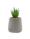PLANTE ARTIFICIELLE POT EFFET BETON HT 11 DIA 5,5