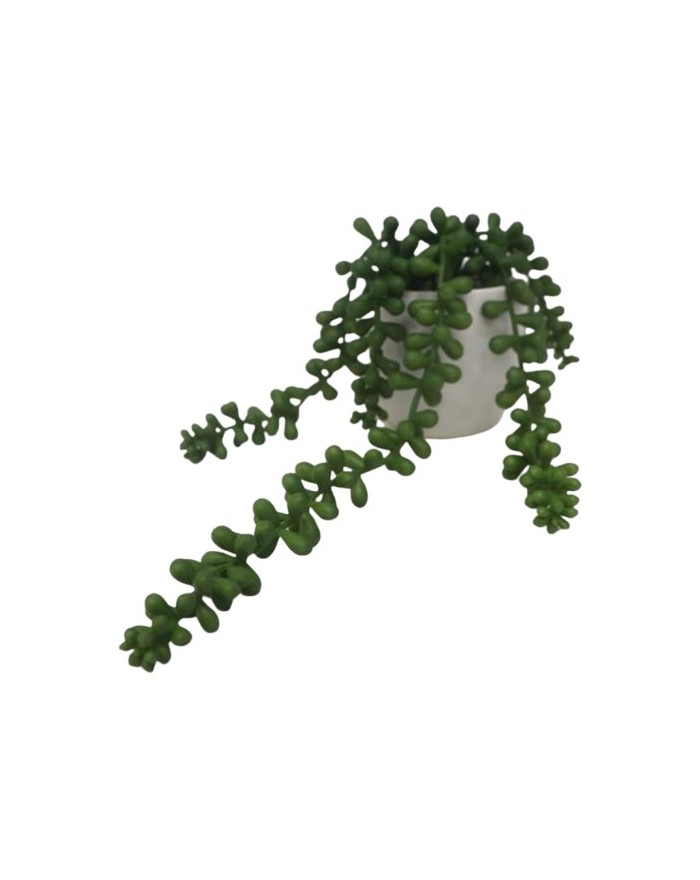 CHUTE PLANTE GRASSE POT CERAMIQUE H23CM