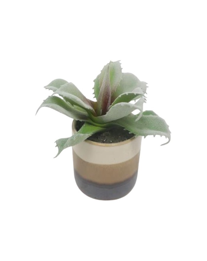 PLANTE GRASSE POT CERAMIQUE RAYE H12CM