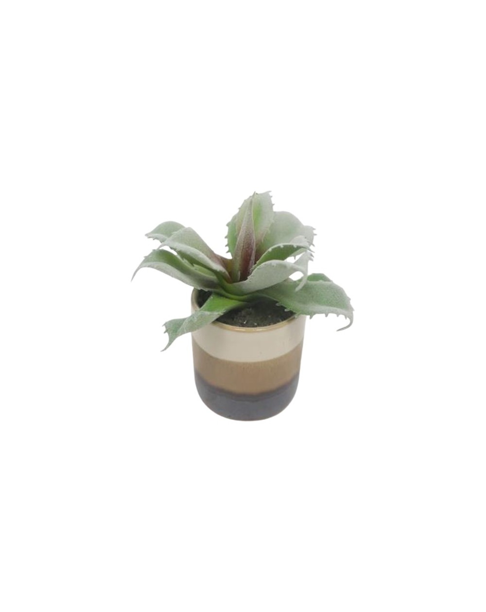 PLANTE GRASSE POT CERAMIQUE RAYE H12CM