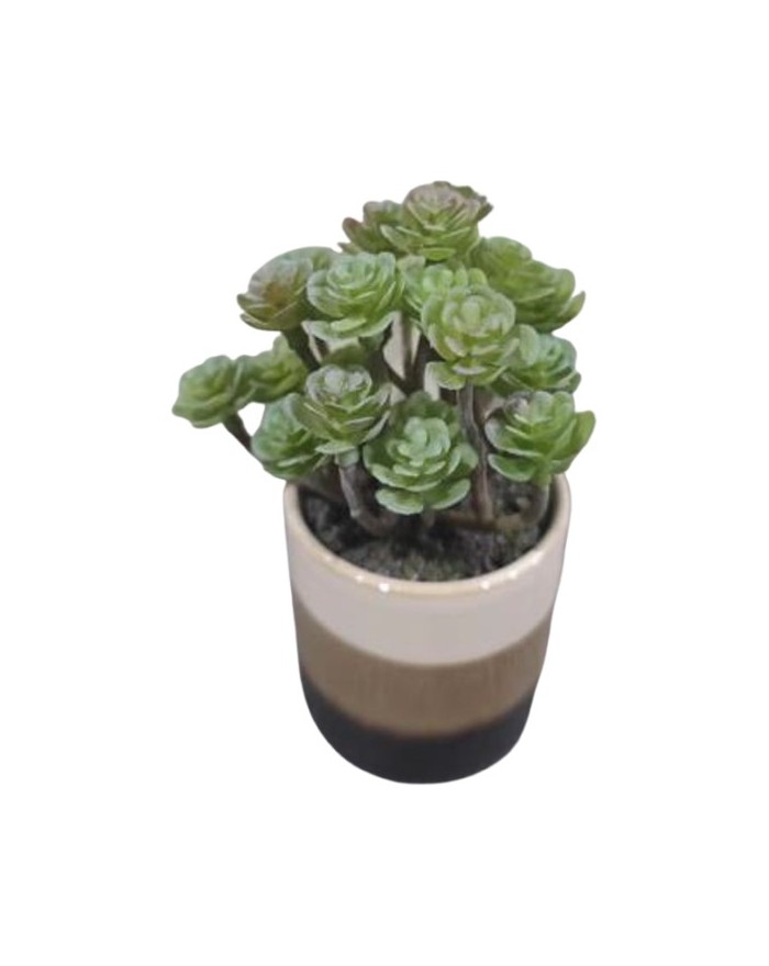 PLANTE GRASSE POT CERAMIQUE RAYE H13CM