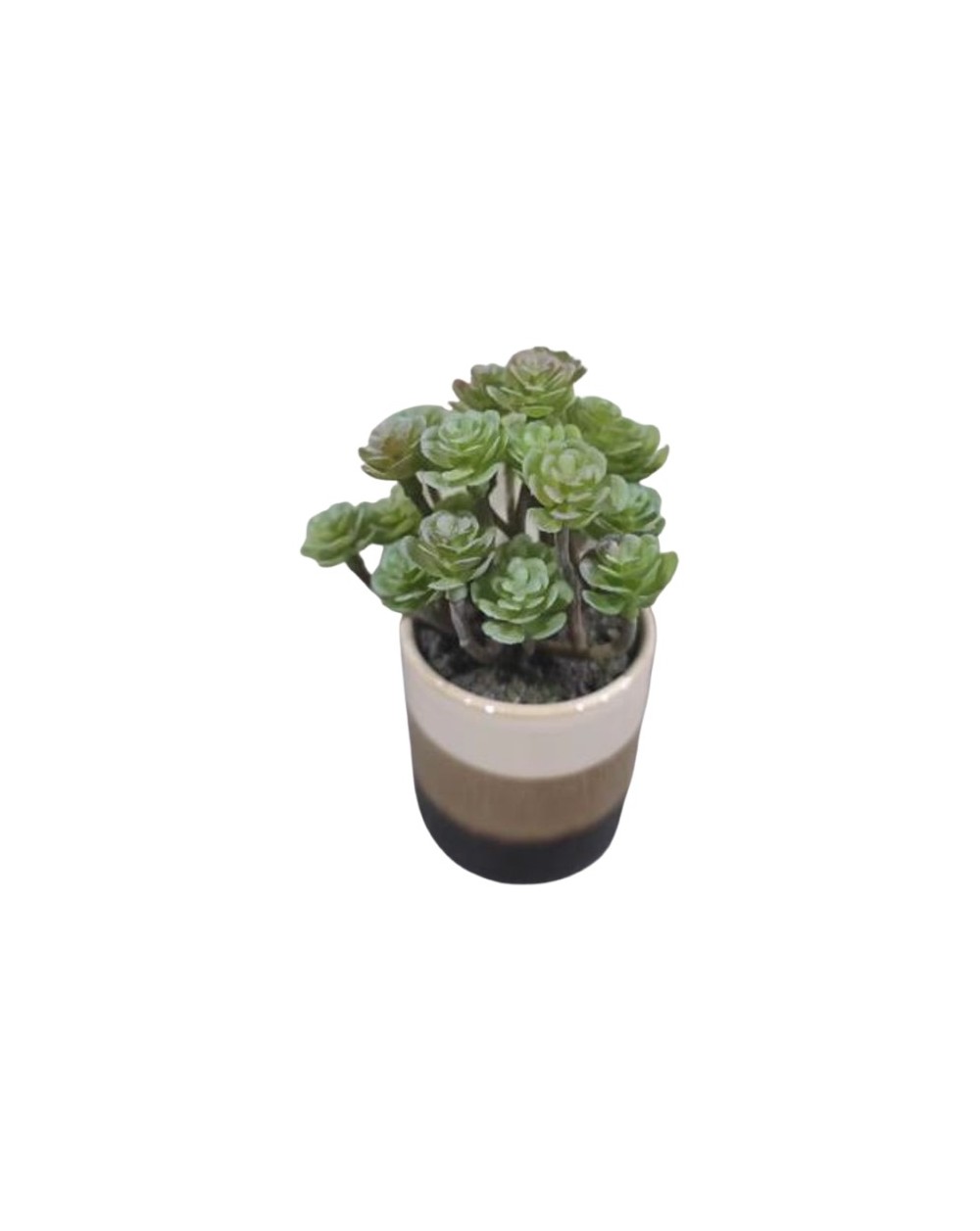 PLANTE GRASSE POT CERAMIQUE RAYE H13CM