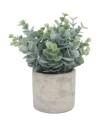 PLANTE ARTIFICIELLE POT CIMENT H19CM