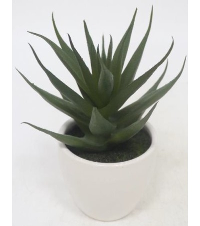 PLANTE GRASSE POT CERAMIQUE H15CM