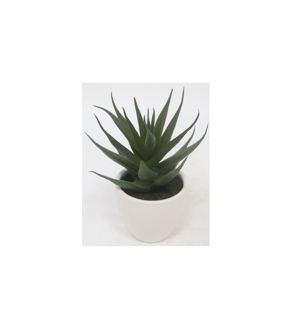 PLANTE GRASSE POT CERAMIQUE H15CM
