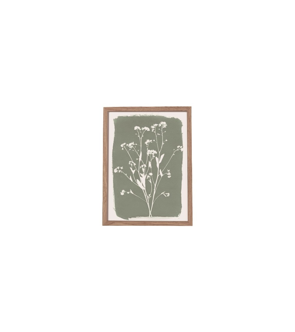 IMAGE ENCADREE 33X43 CM