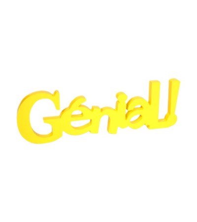 MOT DECORATIF GENIAL FLUO MDF