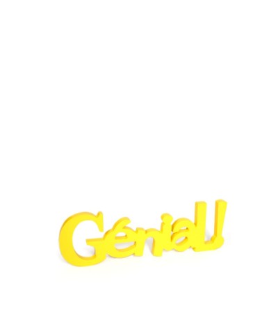 MOT DECORATIF GENIAL FLUO MDF