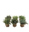 PLANTE ARTIF.POT JUTE H18CM