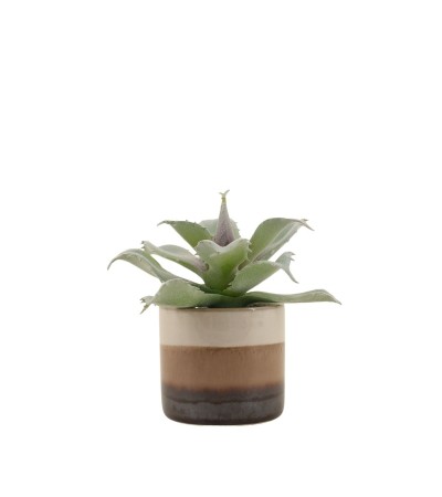 PLANTE GRASSE POT CERAMIQUE RAYE H12CM