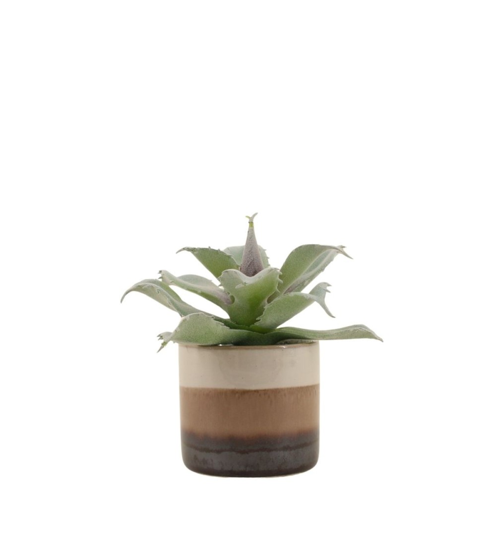 PLANTE GRASSE POT CERAMIQUE RAYE H12CM