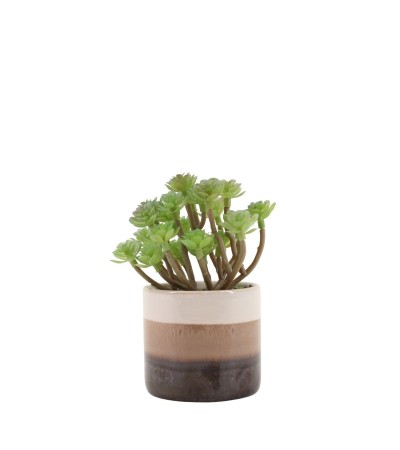 PLANTE GRASSE POT CERAMIQUE RAYE H13CM