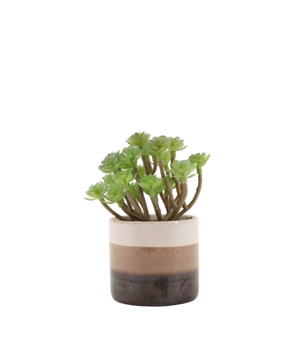 PLANTE GRASSE POT CERAMIQUE RAYE H13CM