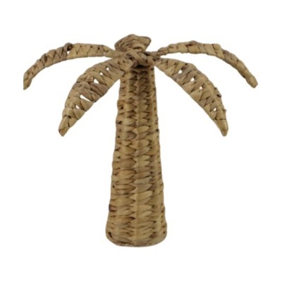 PALMIER  JACINTHE DEAU 33X33X36CM