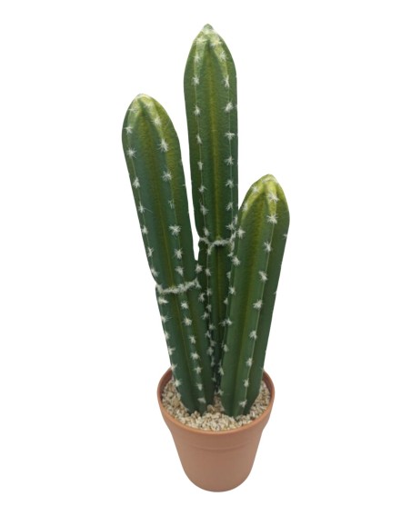 CACTUS VATRICANIA 44CM